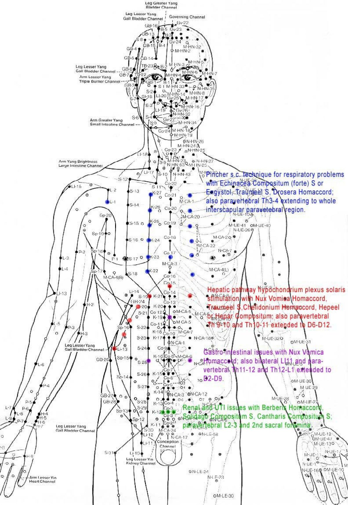 The  Re -discovery Of The Human Energy Field